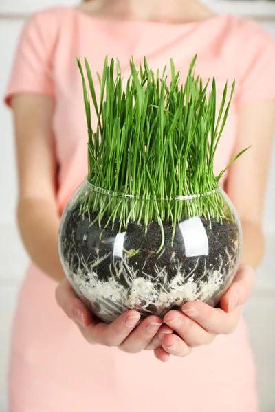 Woman holding pot with green grass — Stock Photo, Image