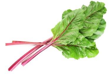 Taze İsviçre pazı