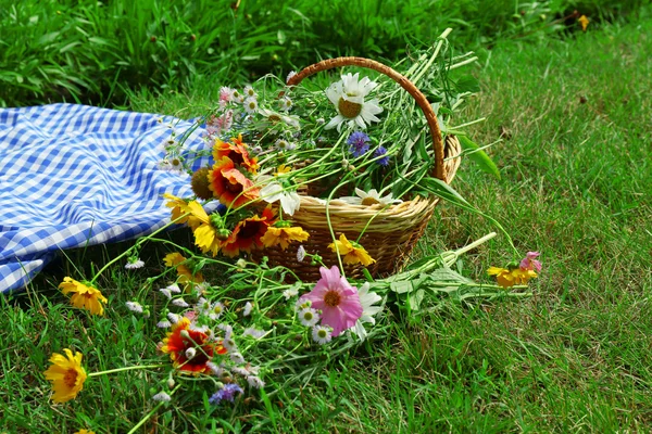 Beautiful bouquet of wild flowers — Stock Photo, Image