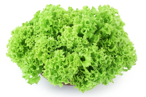 绿色新鲜生菜上白色孤立 — 图库照片
