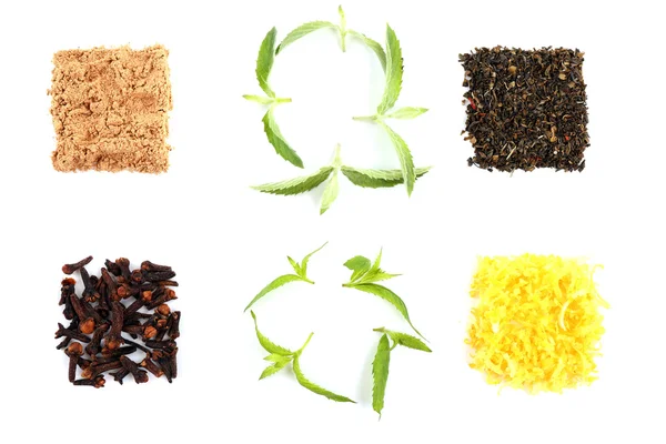 Różne rodzaje herbaty ziołowe i zioła na białym tle — Zdjęcie stockowe