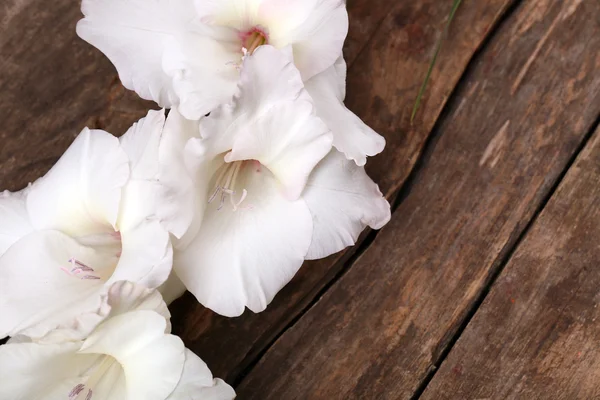 Beautiful gladiolus on wooden background — Stock Photo, Image