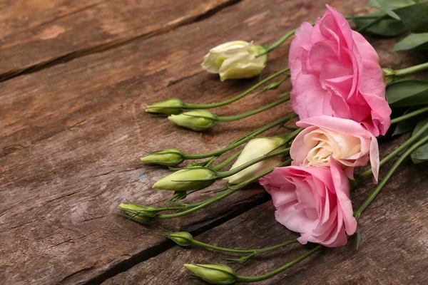 Bellissimo eustoma su sfondo in legno — Foto Stock