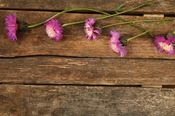 Lindas flores silvestres em fundo de madeira — Fotografia de Stock