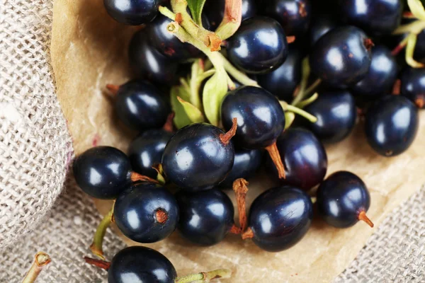 Mogna svarta vinbär på säckväv, närbild — Stockfoto