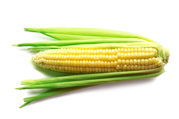 Fresh corn on cob isolated on white — Stock Photo, Image