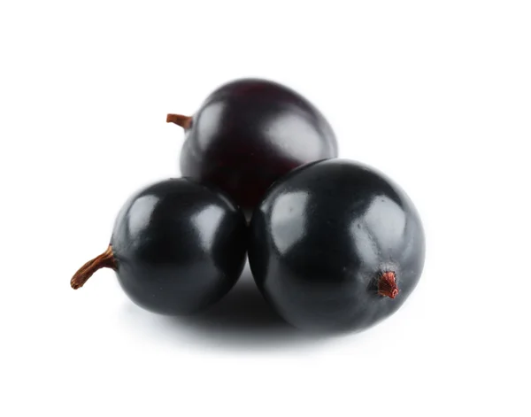 Högen av vilda svarta vinbär isolerad på vit — Stockfoto