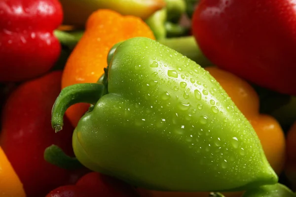 Nasse bunte Paprika — Stockfoto