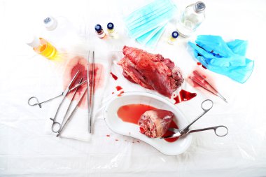 Kalp organ içinde tıbbi metal tepsi