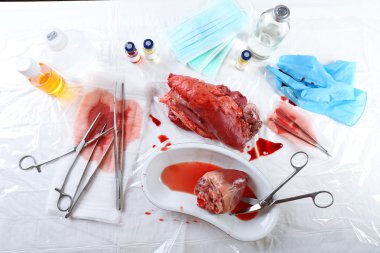 Kalp organ içinde tıbbi metal tepsi