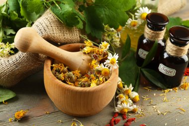 otlar, meyveler ve çiçekler