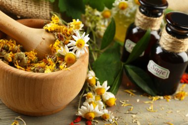 otlar, meyveler ve çiçekler