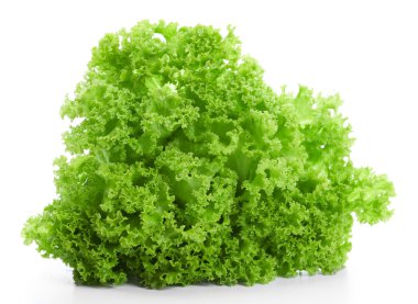 Beyaz üzerinde taze marul.