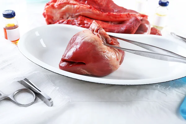 Órgão cardíaco em bandeja metálica médica — Fotografia de Stock