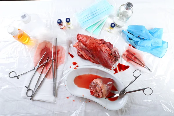 Kalp organ içinde tıbbi metal tepsi