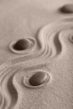 Zen bahçe taşları ile