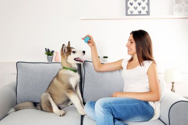 Divan odasında malamute köpekle oynayan kadın