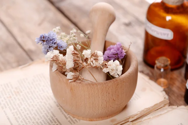 Livro velho com flores secas — Fotografia de Stock