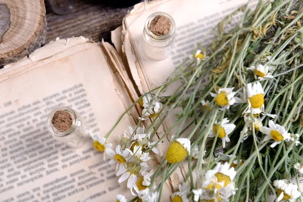 Livro velho com flores secas — Fotografia de Stock