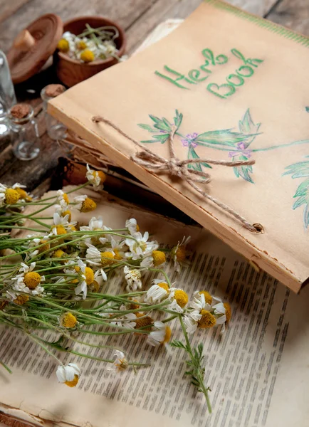 Libro viejo con flores secas — Foto de Stock