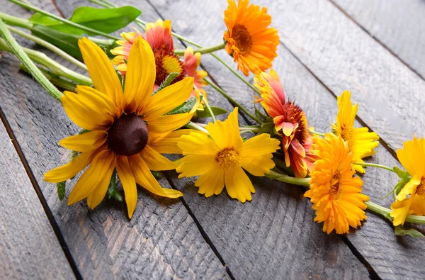 Heldere wilde bloemen op houten achtergrond — Stockfoto