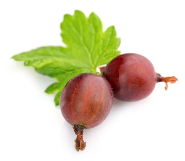 Fresh gooseberries with leaf isolated on white — Stock Photo, Image