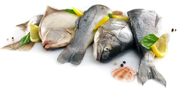 Čerstvé ryby s kořením, izolované na bílém — Stock fotografie