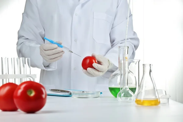 Vědec zkoumá rajčata v laboratoři — Stock fotografie
