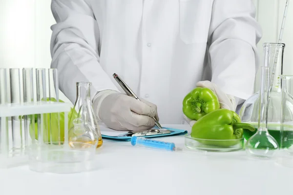 Naukowiec bada pieprz sałatka w laboratorium — Zdjęcie stockowe