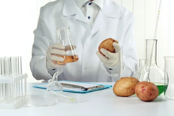 Cientista examina batatas em laboratório — Fotografia de Stock