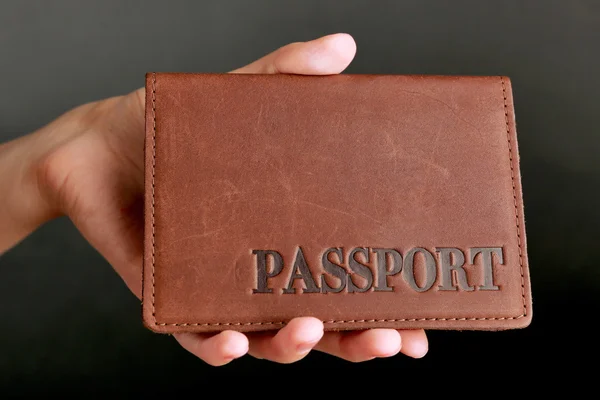 Hand holding passport — Stock Photo, Image