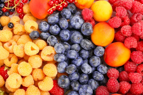 Mix of different berries as background — Stock Photo, Image
