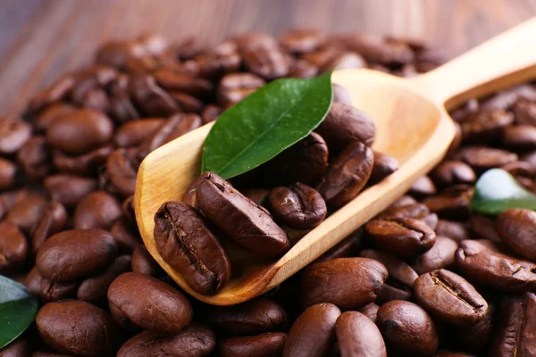 Granos de café con hojas y cuchara de cerca —  Fotos de Stock