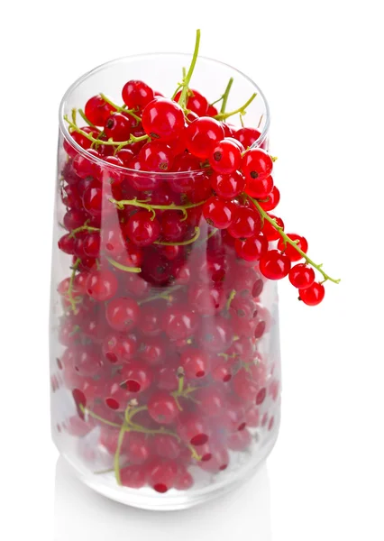 Fresh red currants — Stock Photo, Image