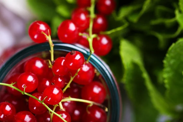 Groseilles rouges fraîches dans un bocal à la menthe — Photo