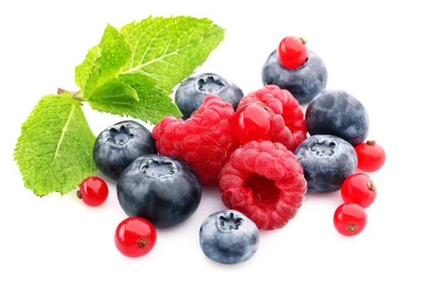 Mix of fresh berries — Stock Photo, Image