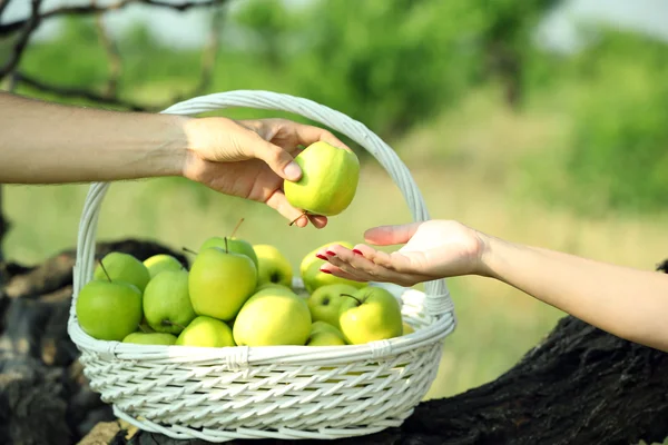 Mãos femininas tomando maçã verde de cesta de vime, ao ar livre — Fotografia de Stock