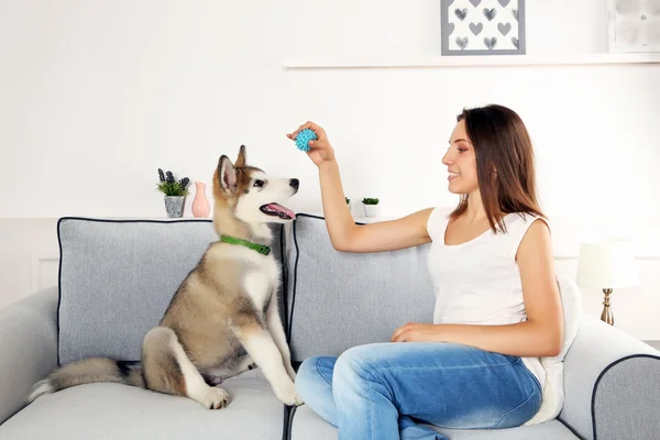 Woman playing with malamute dog on sofa in room — Stock Photo, Image