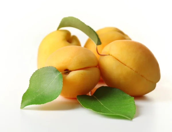 Ripe apricots isolated on white — Stock Photo, Image