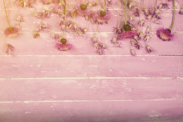Wilde bloemen op houten achtergrond — Stockfoto