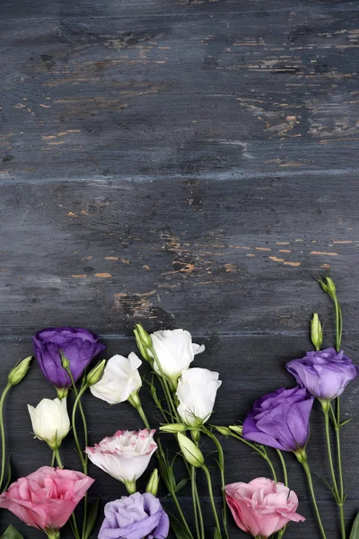 木製の背景にカラフルなトルコギキョウの花 — ストック写真