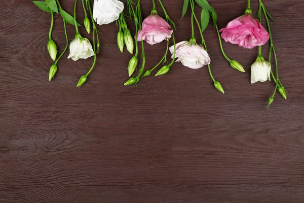 Flores de eustoma coloridas sobre fondo de madera —  Fotos de Stock