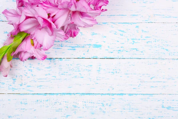 Gladiolus flower on wooden background — Stock Photo, Image