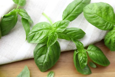 πράσινο φρέσκο βασιλικό με χαρτοπετσέτας