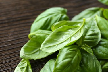 Masada yeşil taze fesleğen yakın çekim