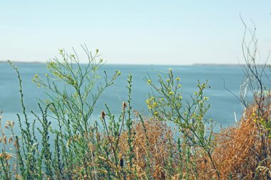 Güzel bir ülke manzara nehir ile