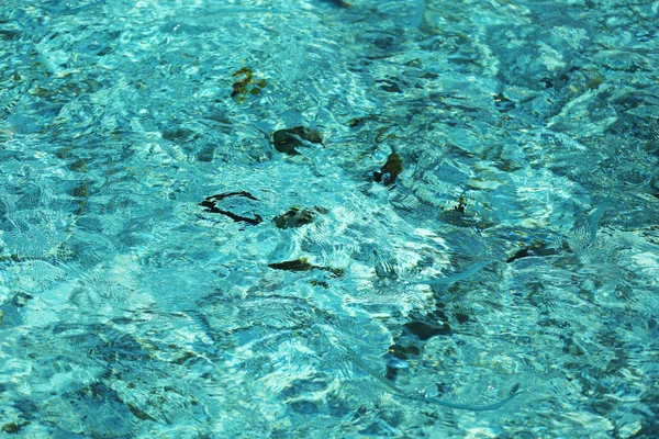 Havsvatten bakgrund — Stockfoto