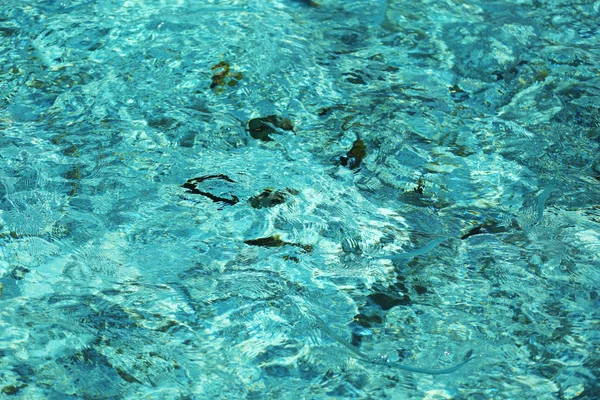 Fondo de agua oceánica — Foto de Stock