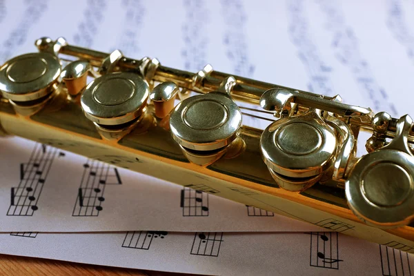 Flauto e note musicali — Foto Stock