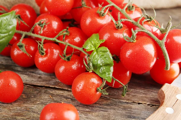 Cherry tomatoes with basil on wooden table close up — Stock Photo, Image